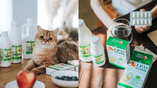 ▲LP33機能優酪乳，不僅能幫助調整過敏體質，而且酸甜好喝，大人小孩接受度都高。（圖／品牌提供）