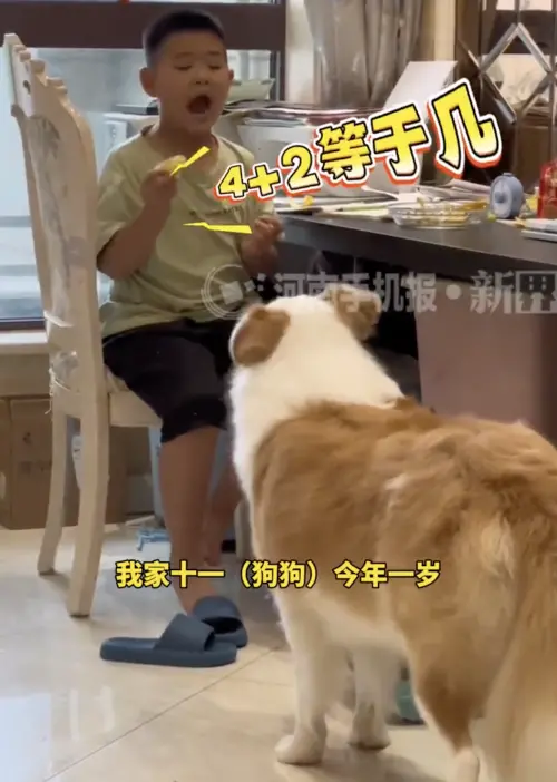 ▲（圖／翻攝自微博）