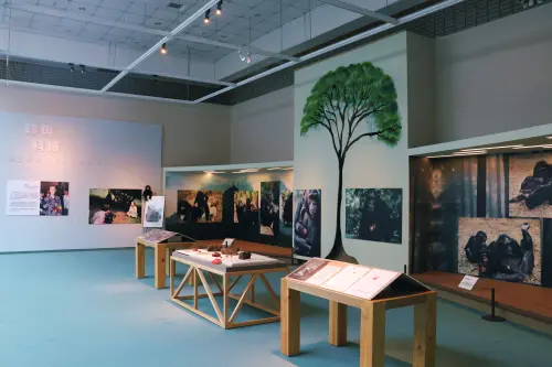 ▲「珍與科博」紀念微型展呼應珍古德推動環保減碳與資源永續的理念，以「環境友善」為原則，盡量沿用既有展材及可重復使用之資源。（圖／科博館提供）