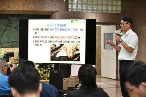 ▲農業部防檢署動物防組林念農組長，說明本次台中發現非洲豬瘟初步檢驗結果。（圖／農業部）