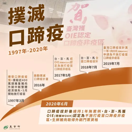 ▲台灣口蹄疫疫情在1997年爆發，經過23年努力才拔針成功，得以外銷。（圖／農業部）