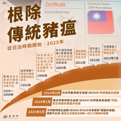 ▲台灣從100多年前開始就在對抗傳統豬瘟病毒，到了1960年林再春博士成功研發「LPC兔化豬瘟活病毒疫苗」成為根除關鍵。（圖／農業部）