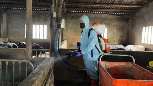 非洲豬瘟侵台！新竹未發現疫情　邱臣遠指示即刻啟動專案稽查機制
