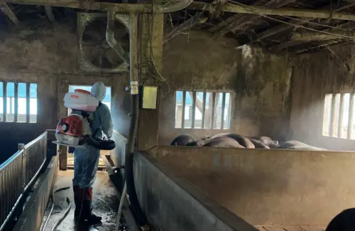 ▲非洲豬瘟侵台，新竹市動保所立即稽查，進行養豬場所消毒作業。（圖／新竹市府提供）