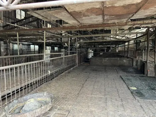 ▲傳出非洲豬瘟的梧棲養豬場，已經全部清空。（圖／讀者提供，2025.10.22）