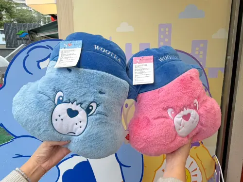 ▲Care Bears五桐號店員造型抱枕。（圖／記者蕭涵云攝）