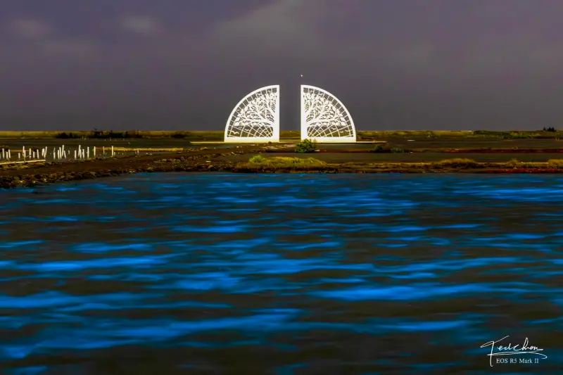 ▲台南市將軍區青鯤鯓扇形鹽田近日驚現夢幻「藍眼淚」奇景，吸引大批民眾冒著強風前往朝聖、拍照留念。（圖／Threads@taiwei.c授權提供）