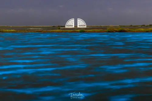 不用跑離島就有藍眼淚！火舞＋溫泉節＋萬聖趴　光復連假台南玩翻
