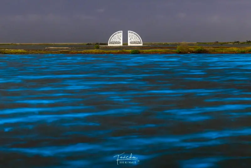 ▲台南藍眼淚（圖／Threads@taiwei.c授權提供）