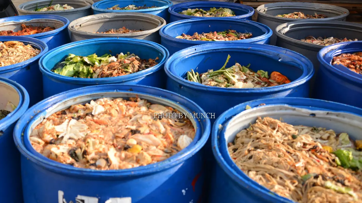 ▲因應非洲豬瘟疫情，中央宣布禁止廚餘養豬，廚餘機也成為民眾考慮的家電。（示意圖／漂浪島嶼臉書）