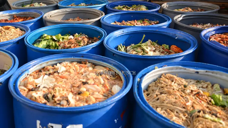 ▲因應非洲豬瘟疫情，中央宣布禁止廚餘養豬，廚餘機也成為民眾考慮的家電。（示意圖／漂浪島嶼臉書）