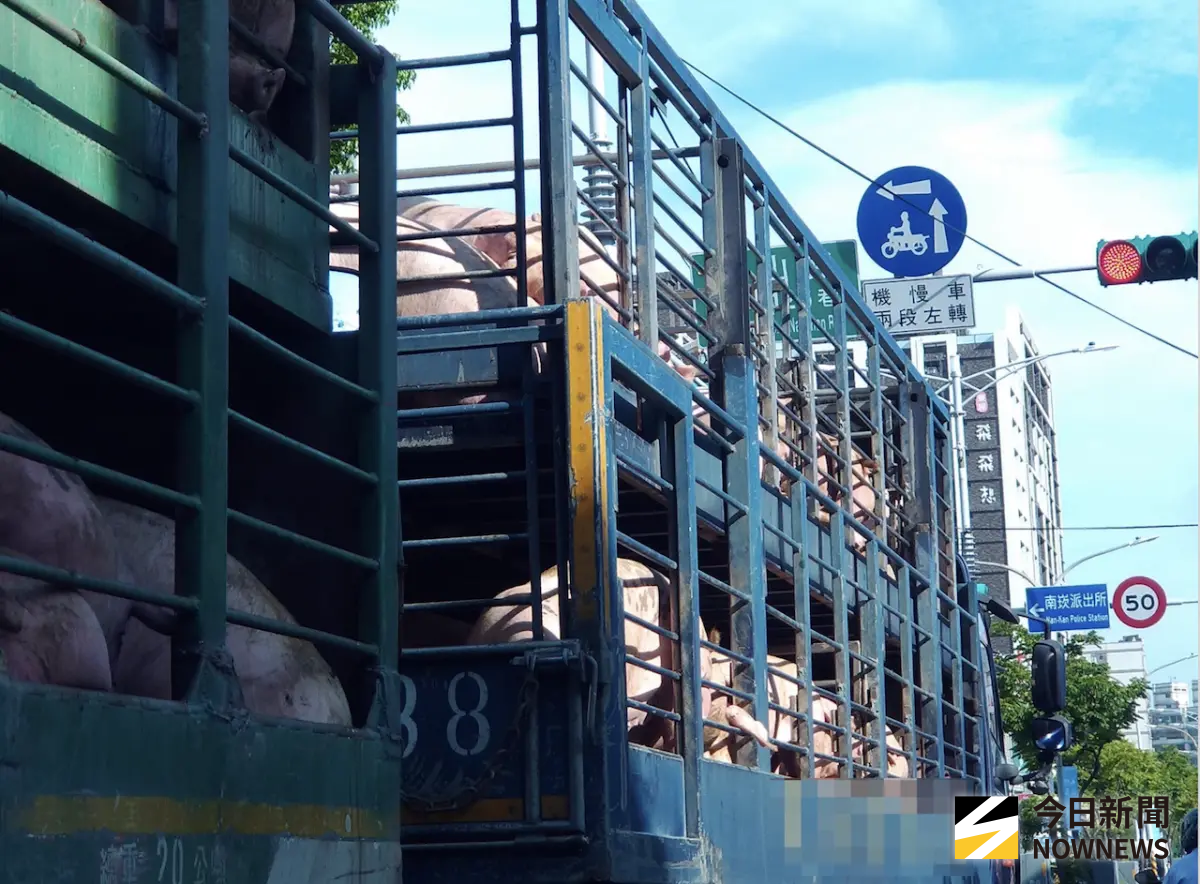 卜蜂養豬場7年前已備戰非洲豬瘟 4項關鍵準備力克疫情衝擊