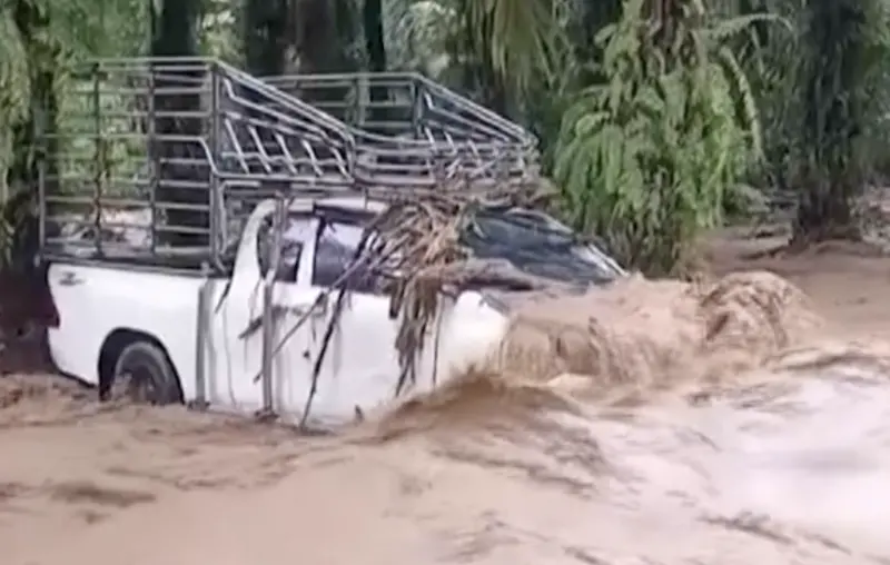 ▲泰國南部春蓬縣近日遭遇暴雨襲擊，一輛白色卡車被洪水沖走的驚險畫面被民眾拍下。（圖／翻攝自影片）