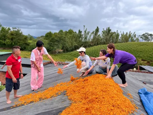 ▲綜藝新時代、籃籃、楊繡惠（圖／民視提供）