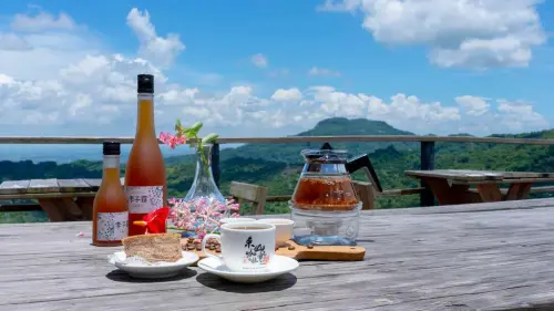 ▲不用跑離島就有藍眼淚！光復連假台南玩透透。（圖／台南市政府提供）