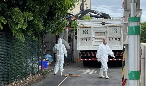 6縣市狂追問題豬！台中28頭全賣散客　他曝吃下肚無食安問題
