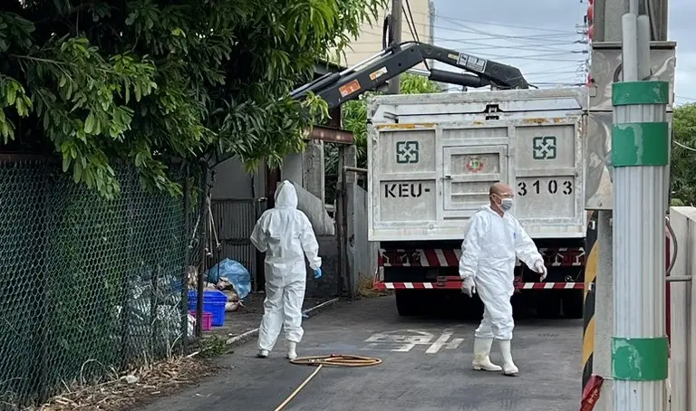▲梧棲案場其他豬隻全遭撲殺，6縣市緊急追28隻已售豬的流向。（圖／讀者提供，2025.10.24）