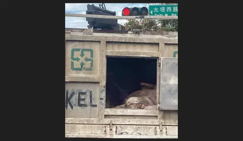 台中街頭直擊病死豬通風中！陳柏惟：該做的都做了、只是門忘記關
