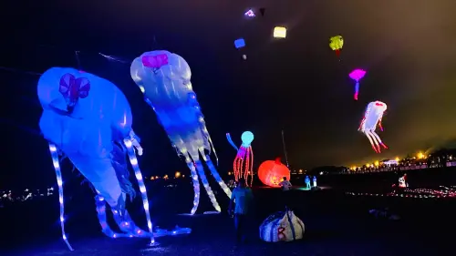 ▲2025苗栗風箏節暨客家美食節在苗栗市經國路河濱公園舉行，今傍晚將有夜光風箏展演，另也有特技風箏秀。（圖／取自苗栗風箏嘉年華官網）