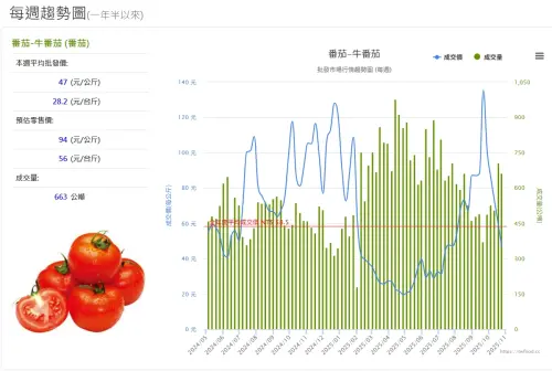 ▲牛番茄價格已從九月下旬每公斤批發價135.4元的高點，回降至本周每公斤47元，降幅約65.3%。（圖／當季好蔬果網站）