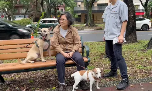 ▲蔡英文溜狗。（圖／蔡英文辦公室提供）