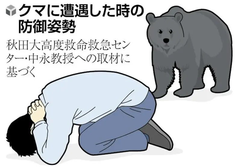    ▲專家建議突然遇到熊時，最好採取雙手在頸後交握，蜷縮身體保護頭臉的防禦姿勢。（圖／翻攝自讀賣新聞）  