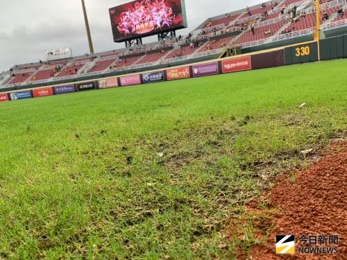 ▲桃園球場經過連日降雨，右外野邊線的紅土、草皮交界處長出青苔。（圖／記者陳柏翰攝,2025.10.26）