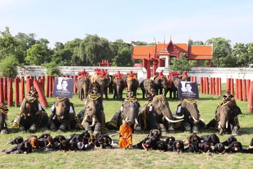 泰國王太后詩麗吉逝世！9頭大象排成一列集體下跪哀悼
