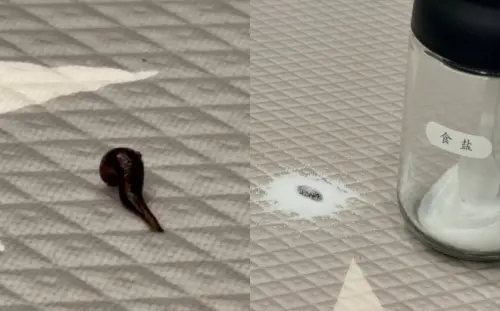 ▲大牙家裡驚見水蛭！嚇到髒話狂飆　崩潰喊：為什麼會出現在我家？（圖／大牙IG@bigtooth）