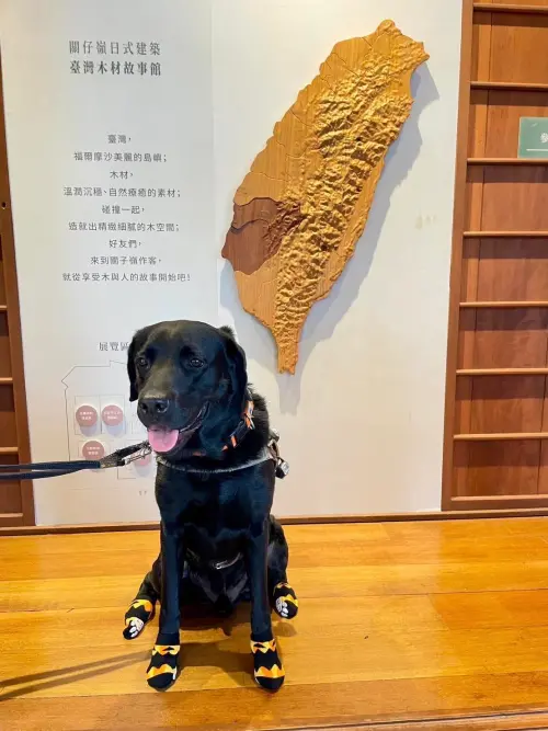 ▲小白黑黑順利完成任務，帶著連惠蘭體驗台灣木材故事館，但身心卻早已受創。（圖／翻攝連惠蘭臉書）