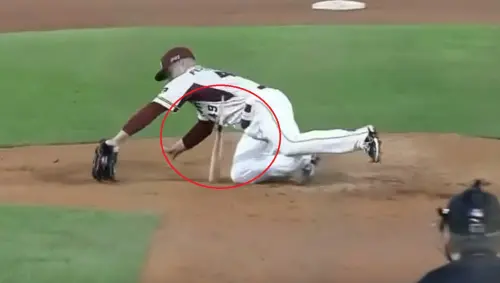 台灣大賽／威能帝驚險撲球！斷棒險「插進身體」　兄弟球迷也佩服
