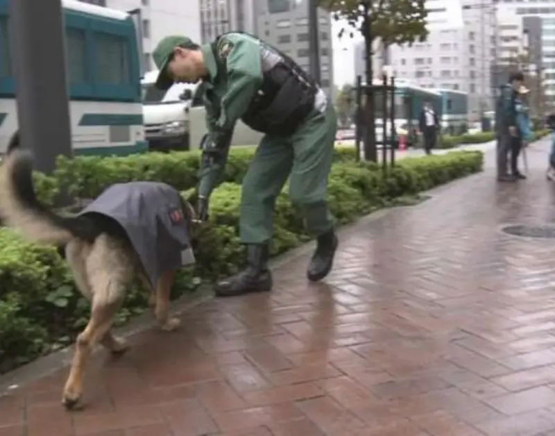    ▲東京警視廳出動近2萬名警力，針對川普來訪加強維安。圖為警察帶著警犬搜尋是否有可疑物品潛藏。 （圖／翻攝自NHK）  