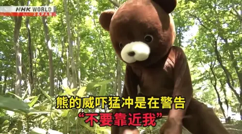 ▲日本媒體NHK全球頻道製作遇到野熊的自保教學影片，掀起熱議。（圖／翻攝自NHK WORLD-JAPAN Chinese粉專） 