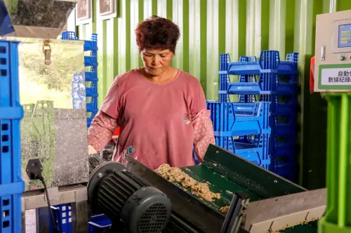 ▲嘉義縣廚餘來源大致分為2類，第1類為軍營、監獄、校園之廚餘，破碎脫水後送至黑水虻廚餘全循環中心處理。圖為黑水虻廚餘全循環中心。（圖／嘉義縣政府）