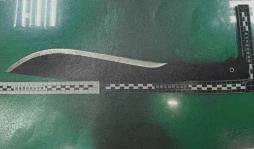 ▲圓山大飯店怪男持刀砍樹。（圖／翻攝畫面）