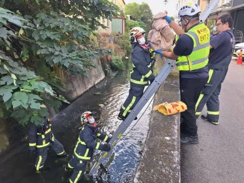 台中水溝驚見「臍帶未斷」棄嬰！生母落網　竟是25歲外籍女移工
