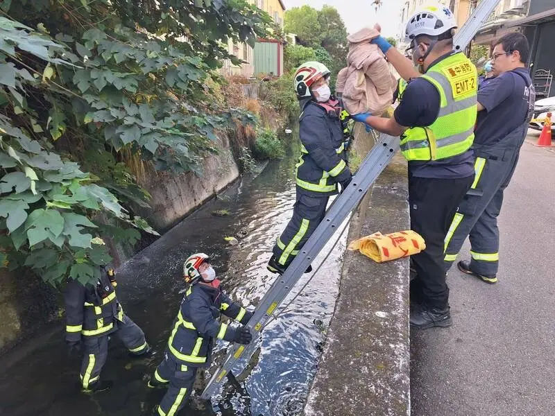 快訊／臍帶都還沒斷...台中嬰卡排水溝亡 警追查狠母身分中