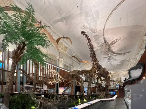 台灣隱藏博物館是它！門票30元、年吸88萬人　遊客不知：白活20年
