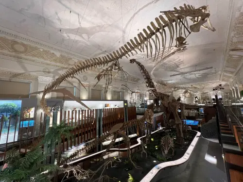 ▲國立台灣博物館展區眾多，但門票僅要30元，相當划算。（圖／國立台灣博物館官網）