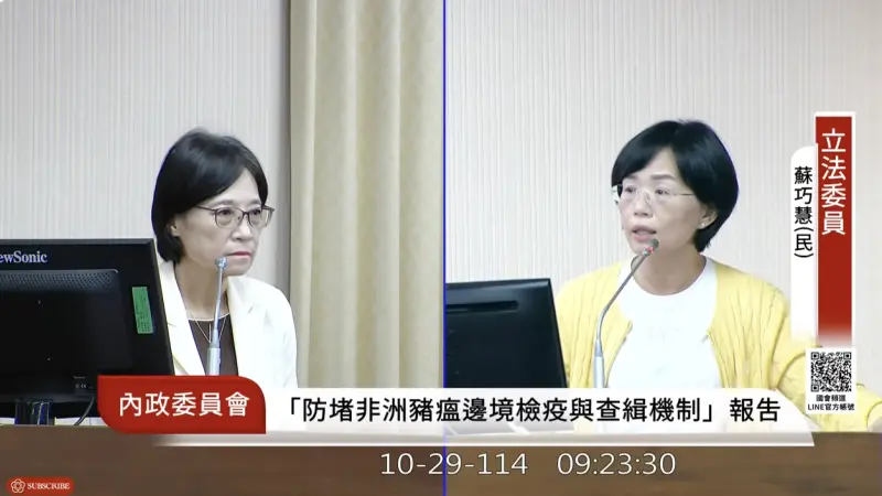 20豬病死還沒採檢！官員這樣回　蘇巧慧大嘆：我問不下去了