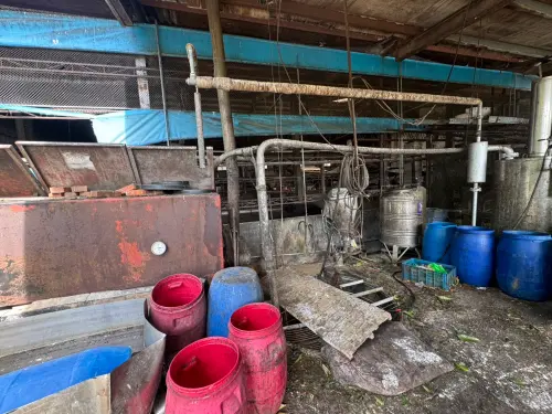 豬瘟風暴4／非洲豬瘟衝擊養豬業　豬農嘆：不怕病毒憂信心崩盤
