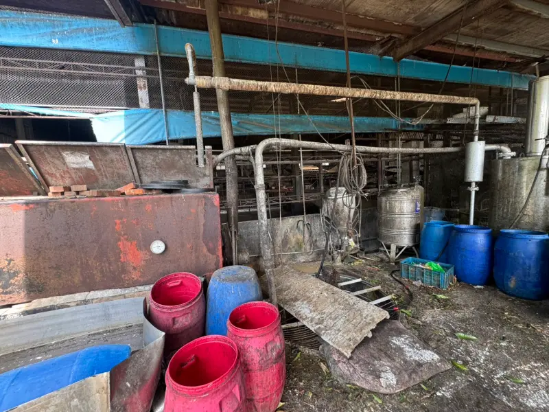 豬瘟風暴4／非洲豬瘟衝擊養豬業　豬農嘆：不怕病毒憂信心崩盤