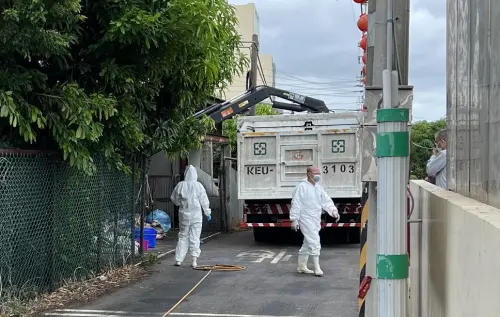 豬瘟斃死豬數量有異！化製三聯單疑遭塗改　台中養豬協會說話了
