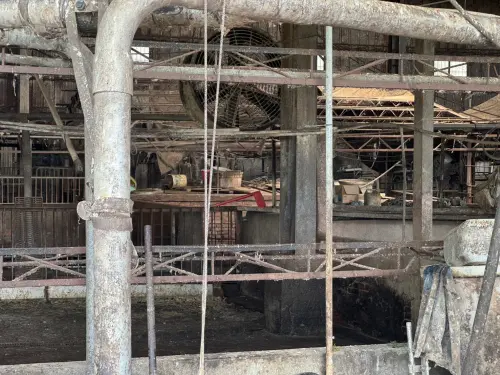 ▲NOWNEWS前往台中梧棲的案發豬場，現場清潔狀況不佳，也未拉起封鎖線。（圖／記者陳偉周攝影）