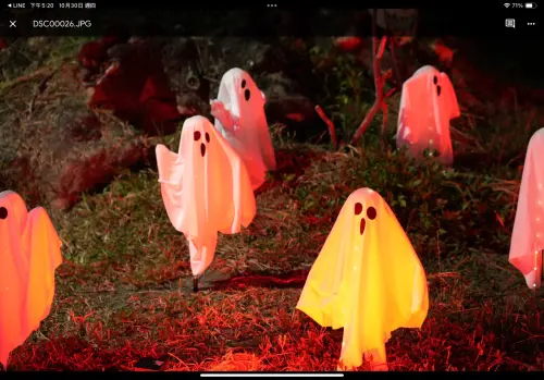 ▲ 「2025高雄萬聖節」今年將擴大規模結合在地學校與市民參與，規劃萬聖節市集、創意裝扮遊行、氛圍佈置。（圖／高市府教育局提供）