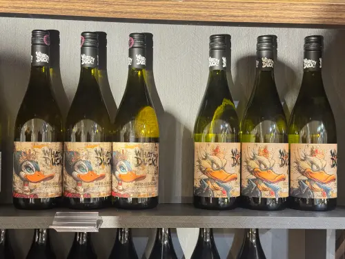 ▲酒莊推薦酒款，法國微諾布爾拉酒莊 甜白葡萄酒，每瓶售價960元。（圖／記者鍾怡婷攝）