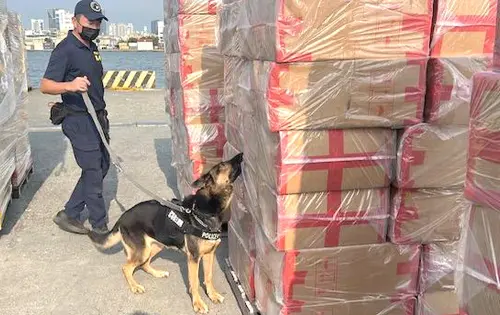 ▲警政署保3總隊2大隊查獲外籍雜貨輪載運冷凍肉類及私菸，緝毒犬以嗅覺來嗅聞是否有毒品反應。(圖／保3總隊2大隊提供) 