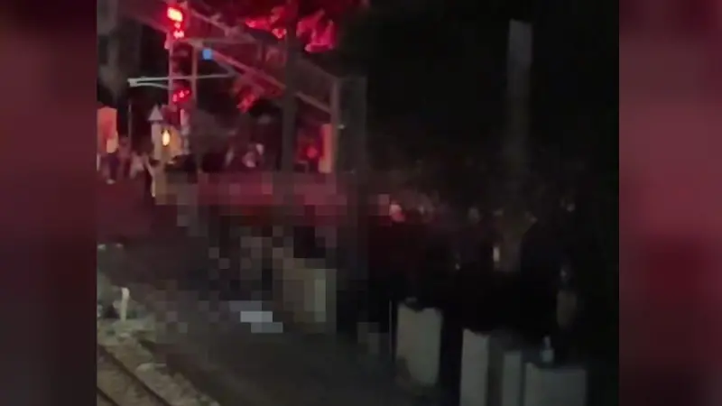 快訊／行人闖入桃園平交道！遭新自強號撞擊「全身變形」慘死