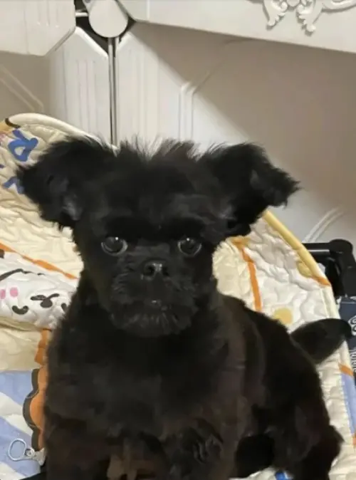 ▲（圖／翻攝自小紅書）