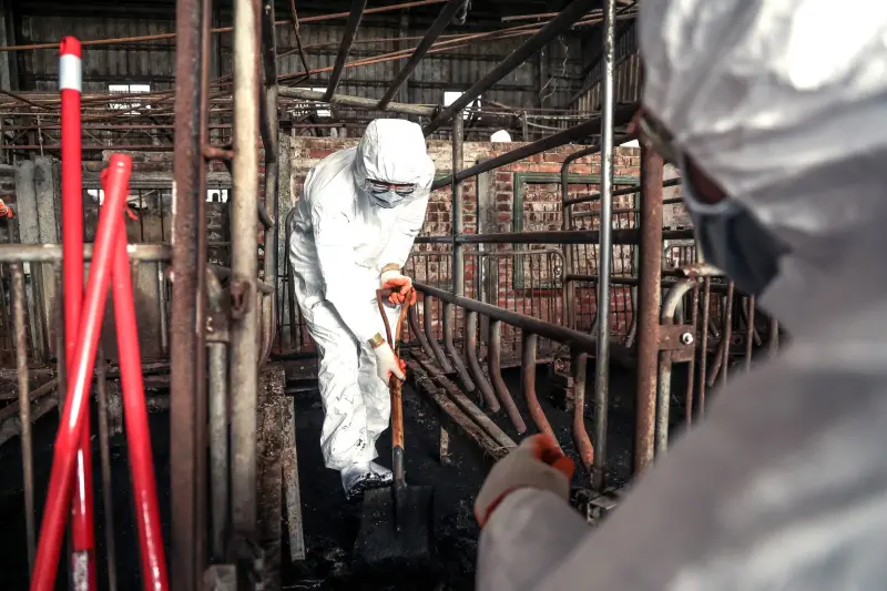 ▲上百名國軍官兵化身鏟子超人，輪流挖出養豬場內的糞土。（圖／陸軍第十軍團提供，2025.10.31）